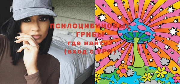 соль ск Алзамай