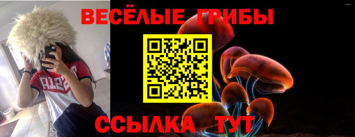 Псилоцибиновые грибы мухоморы  Вход с VPN  Павловский Посад 